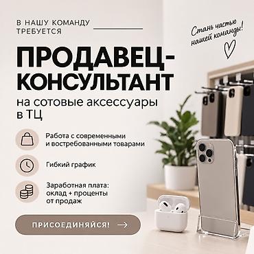 Продавцы-консультанты: Вакансия: Продавец‑консультант на сотовые аксессуары (работа в ТЦ) - — 1