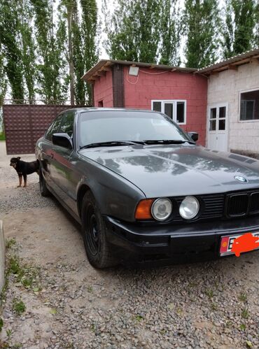 е34 34: BMW 5 series: 1991 г., 2 л, Механика, Бензин, Седан