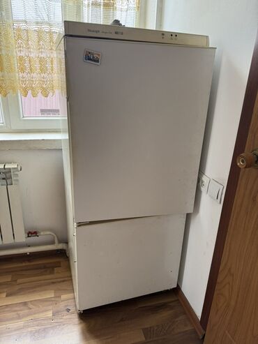 муздаткычтар буу: Муздаткыч Snaige, Эки камералуу