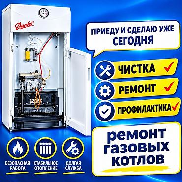 Ремонт и обслуживание газовых котлов Профессиональные услуги: -