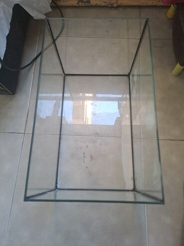 Akvariumlar: Dördbucaq akvarium, Boş, 50 l, Ünvandan götürmə lalafo.az -da Akvariumlar: Dördbucaq akvarium, Boş, 50 l, Ünvandan götürmə