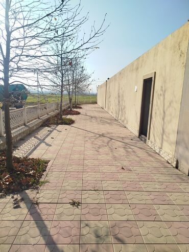 Torpaq sahələrinin satışı: Kənd təsərrüfatı, Kupça (Çıxarış) — 2