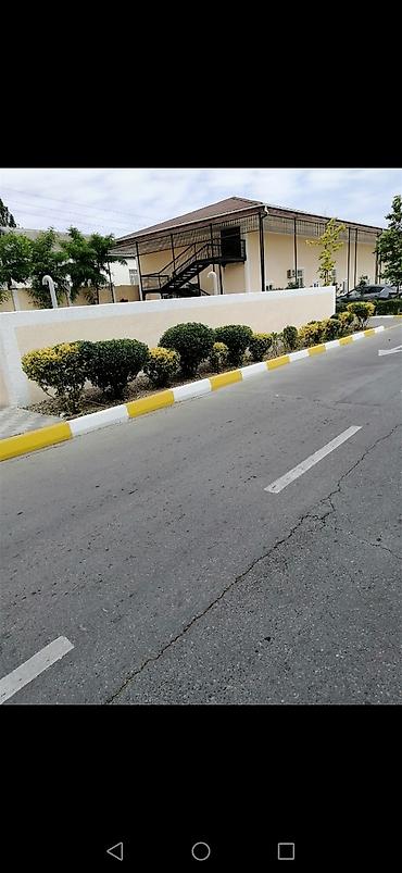 landşaft dizayn: Salam aleykum Adim Sahib 44yaşim var Bakida yaşayiram Gündelik olaraq — 8