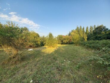 Torpaq sahələrinin satışı: 10 sot, Tikinti, Mülkiyyətçi, Kupça (Çıxarış) — 7