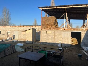 Продажа домов: Барачный, 130 м², 5 комнат, Собственник, Старый ремонт at lalafo.kg — 10 Продажа домов: Барачный, 130 м², 5 комнат, Собственник, Старый ремонт — 10