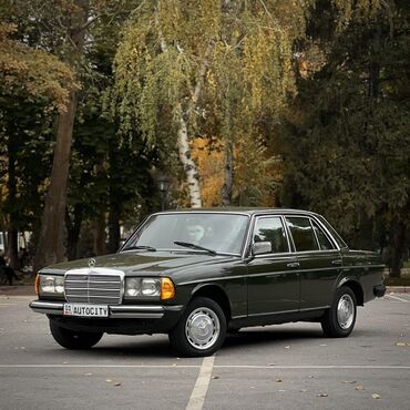 Mercedes-Benz: Mercedes-Benz W123: 1983 г., 3 л, Механика, Дизель, Седан