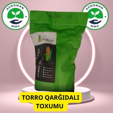 Torro qarğdalı toxumu Yüksək kehfitli hibrir toxumdur Xəstəliklərə və