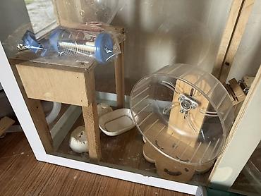 bakida it satisi: Çunqarık və Hamster üçün geniş akvarium tipli qəfəs və aksesuar — 4