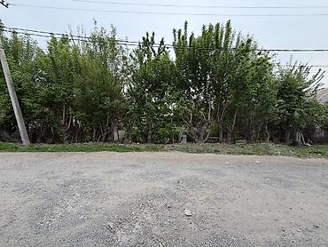 государство: 📌 АДРЕС: Срочно продаётся шикарный угловой участок под бизнес на — 9