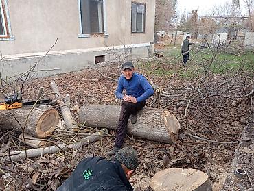 ии видео: Отун,Дрова.Кара-балта!!! Пилю Дрова Спил дров Колим дрова отун — 8