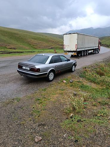 авто толщиномер: Audi 100: 1991 г., 2 л, Механика, Бензин, Седан — 8