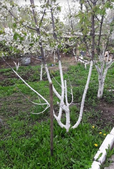 Продажа домов: Дача, 70 м², 4 комнаты, Агентство недвижимости — 12