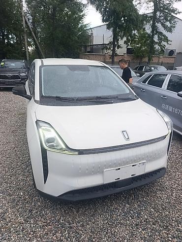 потолочные ручки: LDV : 2024 г., Автомат, Электромобиль, Минивэн — 10