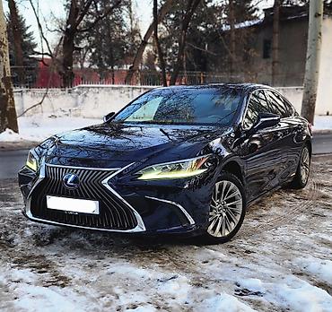 Lexus: Lexus ES: 2019 г., 2.5 л, Вариатор, Бензин, Седан — 3