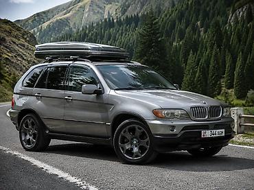 бмв e53: BMW X5: 2005 г., 4.4 л, Автомат, Бензин, Кроссовер — 1