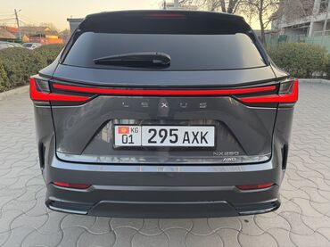 Lexus: Lexus NX: 2022 г., 2.5 л, Автомат, Бензиновая, Кроссовер — 1