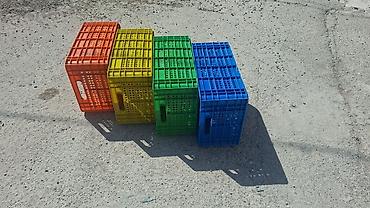 Digər mağaza avadanlığı: Plastik yeşik(tara,sebet,yesik,qutu) istehsalı. ölçülər 60/40/10sm — 2