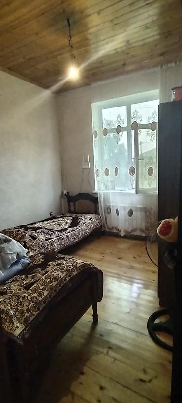 nar agacı: Maştağa Ləhic bağlarında dənizə 2 kilometir məsafədə hər bir şəraiti — 6