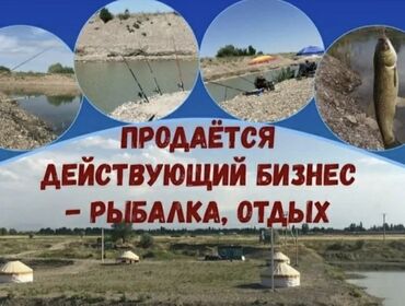 село петровка: Продается участок для бизнеса рыбное хозяйство (сейчас действующий