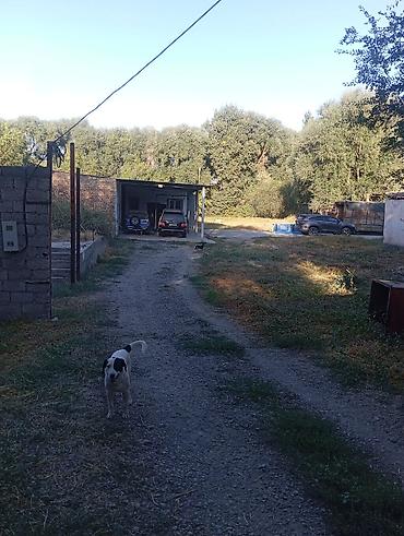 Продажа коттеджей и домов: Продаю два дома на одном участке Рядом с трассой Аэропорта Манас Село — 4