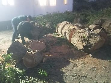 гитара алам: Отун,Дрова.Кара-балта!!! Пилю Дрова Спил дров Колим дрова отун — 4