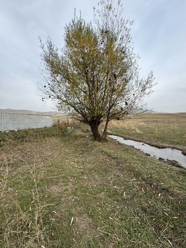 продажа земли под производство: 46 соток, Для сельского хозяйства, Договор купли-продажи