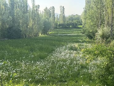 продается офис: 50 соток, Для сельского хозяйства, Тех паспорт