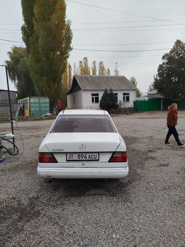 вито мерседес: Mercedes-Benz W124: 1993 г., 2.2 л, Механика, Бензин, Седан