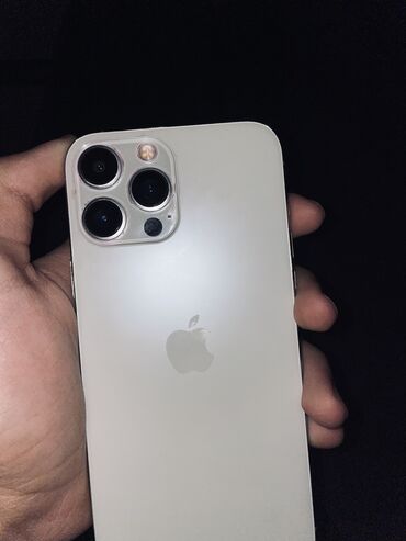 aifon 13: IPhone 13 Pro Max, 256 ГБ