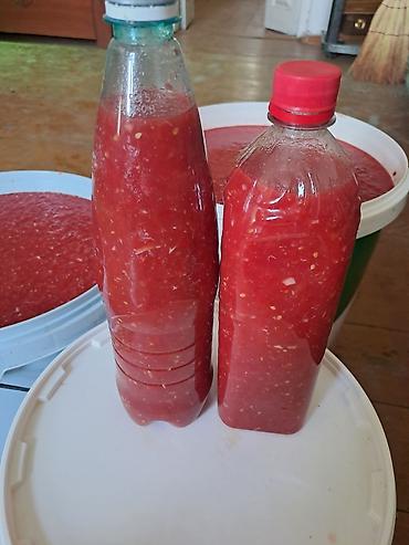 продам лук: Огурцы — 8