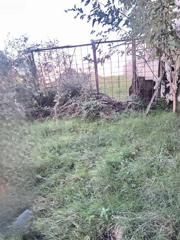 Həyət evləri və villaların satışı: Torpaq bağ sahəsi 42 sot meyvə baği satıram -da lalafo.az — 26 Həyət evləri və villaların satışı: Torpaq bağ sahəsi 42 sot meyvə baği satıram — 26