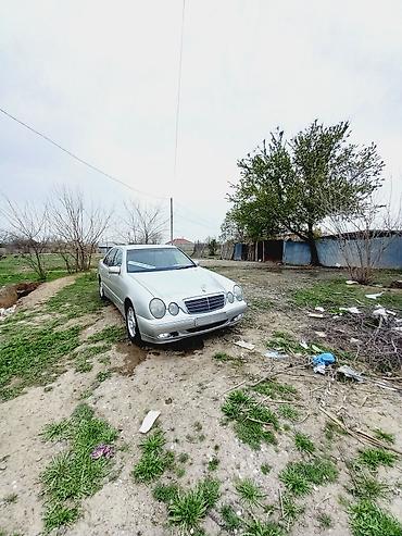 Mercedes-Benz: Mercedes-Benz E‑Class W210 sedan - Kuzov: sedan, gümüşü rəng - — 2