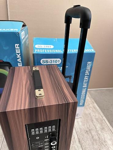 колонка для ноутбука usb: Портативная акустическая система SS-3101 (Professional Battery — 4