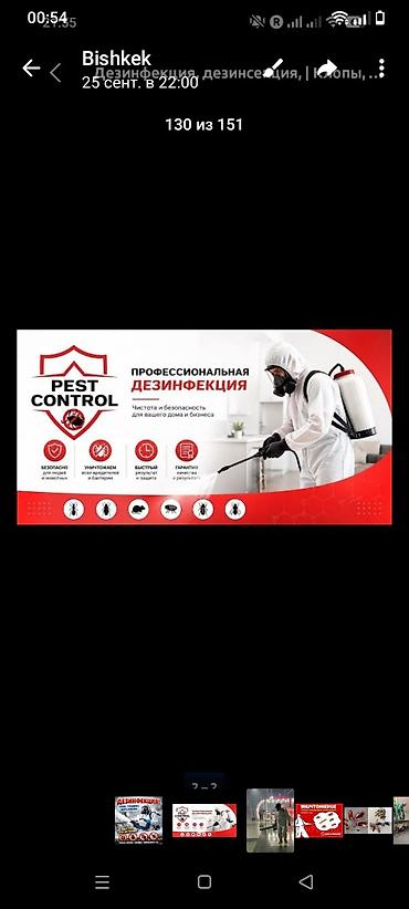 Дезинфекциялоо, дезинсекциялоо: Дезинфекциялоо, дезинсекциялоо, | Кумурскалар, | Батирлер — 3