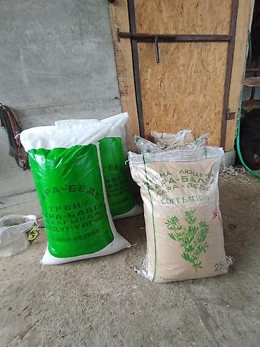 Люцерна: Люцерна at lalafo.kg — 7 Люцерна: Люцерна — 7