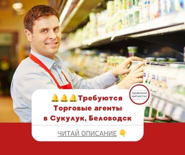 Продажи, работа с клиентами: Требуется Торговый агент, График: Пятидневка, 1-2 года опыта, Оплачиваемый отпуск, Полный рабочий день