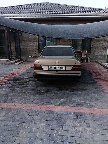 химия авто: Mercedes-Benz W124: 1990 г., 3 л, Автомат, Газ, Седан — 2