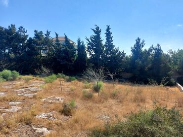 Torpaq sahələrinin satışı: 30 sot, Mülkiyyətçi, Kupça (Çıxarış), Bələdiyyə -da lalafo.az — 8 Torpaq sahələrinin satışı: 30 sot, Mülkiyyətçi, Kupça (Çıxarış), Bələdiyyə — 8