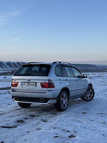 BMW: BMW X5 M: 2003 г., 3 л, Автомат, Дизель, Кроссовер — 7