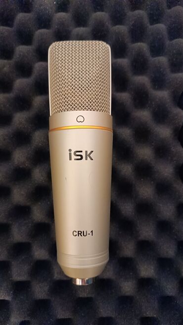 muzičke knjige za decu: Isk cru 1 studijski usb mikrofon