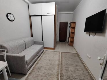 продаю квартиру фрунзе: 1 комната, 19 м², Малосемейка, 1 этаж, Евроремонт