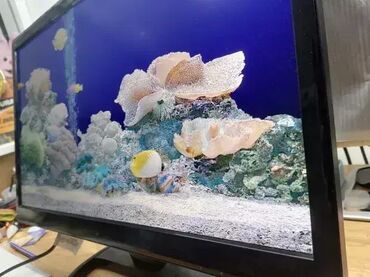 Monitori: Monitori Viewsonic 22" 10kom. Lepo ocuvani, kao novi bez ogrebotina — 3