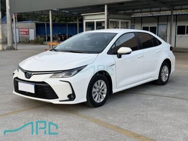 Диски: Литые Диски R 15 Toyota, Комплект, отверстий - 5, Б/у at lalafo.kg — 2 Диски: Литые Диски R 15 Toyota, Комплект, отверстий - 5, Б/у — 2