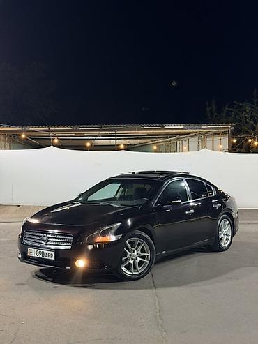 забчасть ниссан максима: Nissan Maxima: 2010 г., 3.5 л, Автомат, Бензин, Седан — 1