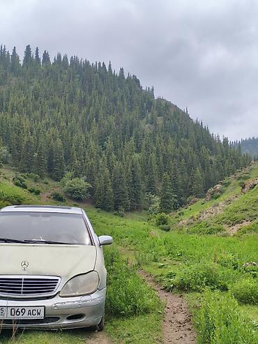мерседес бенс а: Mercedes-Benz S-Class: 2001 г., 3.2 л, Типтроник, Бензин, Седан — 2