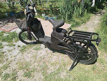 Ostali motocikli i skuteri: Električni skuter – kargo/utility tip - Boja: crna, niskog rama za — 8