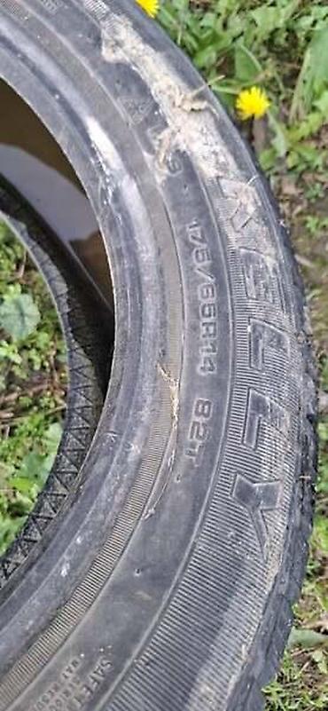 twingo 2002: ZIMSKA GUMA KELLY 14 | zimska guma kelly 175/65 R14.Dubina sare — 2