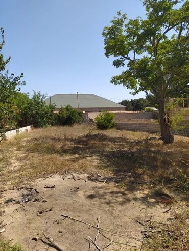 Mənzillər: 6 sot, Tikinti, Maklerlər narahat etməsin, Kupça (Çıxarış)