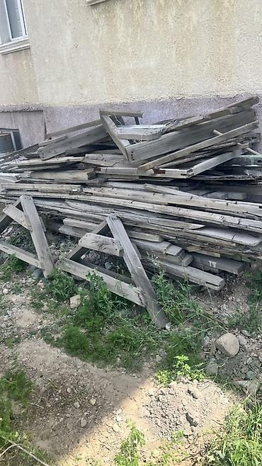 Хвоя