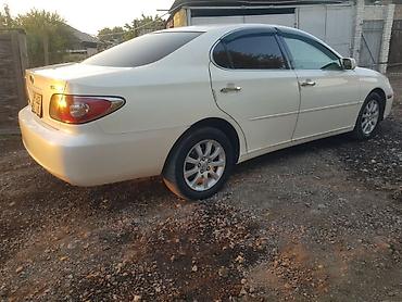 ес 300 лексус: Lexus ES: 2003 г., 3 л, Автомат, Газ, Седан — 3